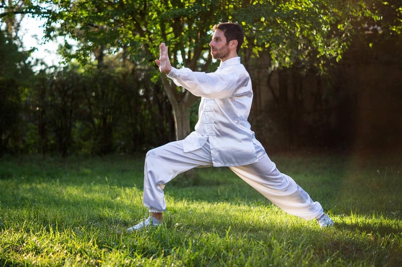 Tai Chi and Qi Gong Image